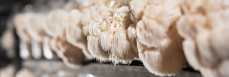 blog_highlight_image_template (1)